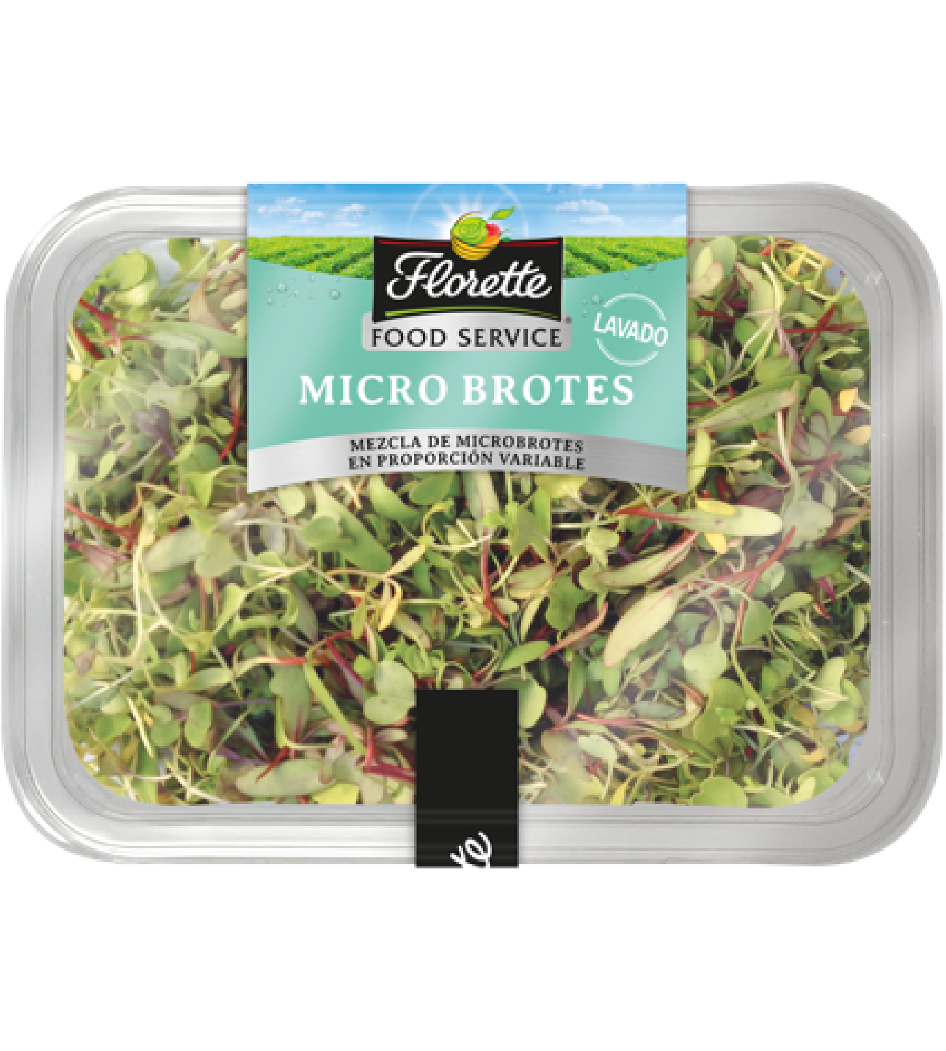 microbrotes
