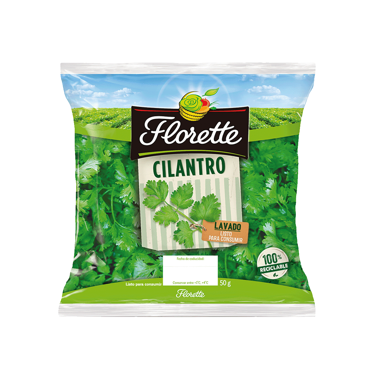 Cilantro-1250×1250